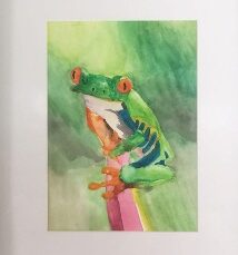 Emma Forsyth - "Tree Frog" - Union - Watercolor - Honorable Mention